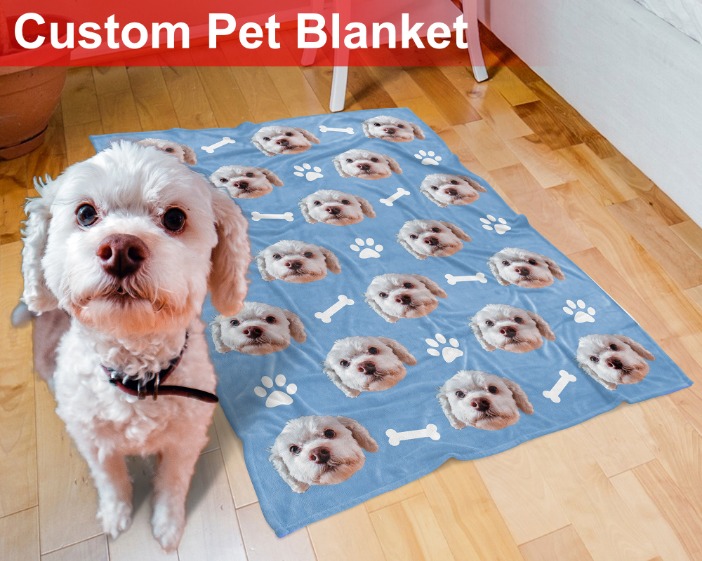 Keep Your Canine Companion Cozy with a Dog Blanket 1e09-b04b-bd01